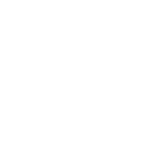 Alexandre Meneghel